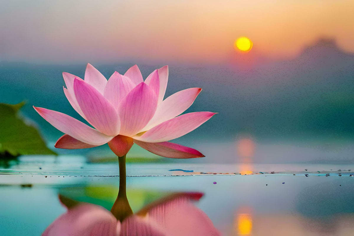 Hybrid Japanese Bonsai Lotus Seeds| š„FLAT 58% OFF SALEš„